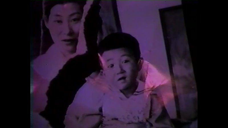 Video Letters (Shuji Terayama & Shuntaro Tanikawa, 1983)