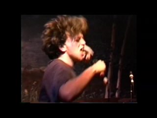 Ween - 1991 - Live at Wetlands, NYC
