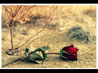 Людмила Якушева - Не возвращайся