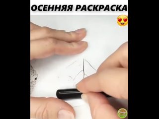 ОСЕННЯЯ РАСКРАСКА