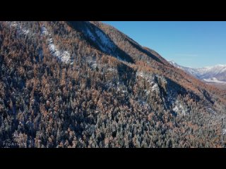 [4K Relaxation Channel] Best 4K Drone Footage of Autumn in Siberia - Ambient Drone Film about Beauty of Fall Foliage Season