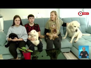 Самый толстый лабрадор России нашел новую семью в Челябинск
