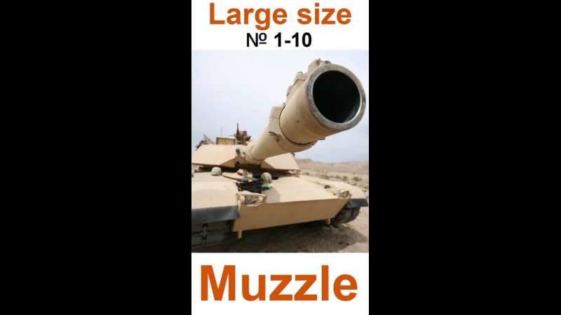 Boys bulges show. Muzzle ( Large size 1