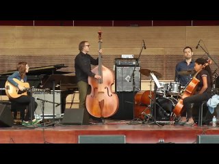 08_Tomeka Reid Quartet - Samo Swing Millennium Park