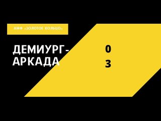 Кубок АМФ «Золотое кольцо». Демиург - Аркада