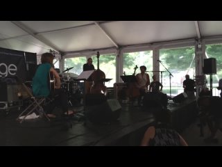 10_Tomeka Reid Quartet at Chicago Jazz Festival, August 31, 2014 - Wabash Blues (13)