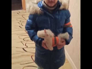 Video by МБДОУ д.с N16 г. Белгород