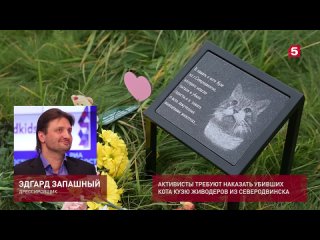 Эдгард Запашный отреагировал на жестокое убийство кота Кузи в Северодвинске (720p).mp4