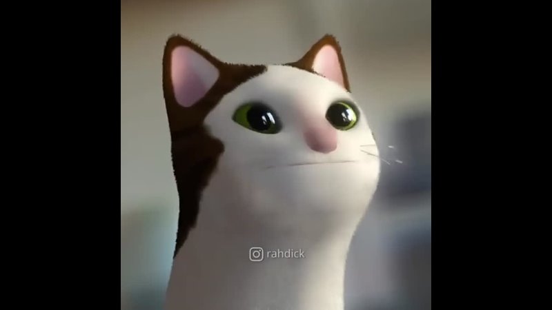 Тру Художник Pop Cat в 3d (видео от