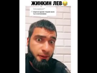 Жинкин лев фото Жинкин лев фото