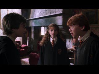 Гарри Поттер и Тайная комната | Harry Potter and the Chamber of Secrets | Расширенная версия (1080p)
