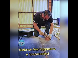 Малыш какой, внимания хочет.