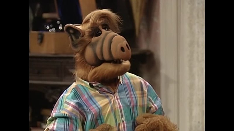 Альф фото Альф фото