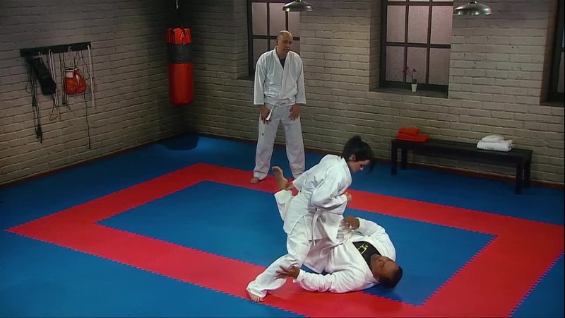 17. Jujitsu Pliable Grappling Methods