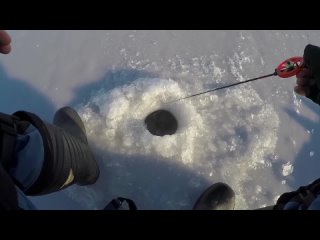 [Рыбалка с SIBIRYAK'ом'007] Первый лёд на лесном озере. Ловля НА ХИТРУЮ снасть простой рыбы!