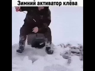 🐠 Сухая кровь Dry Blooder зимний