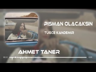 Tue Kandemir - Piman Olacaksn ( Ahmet Taner & Burak Peker Remix )