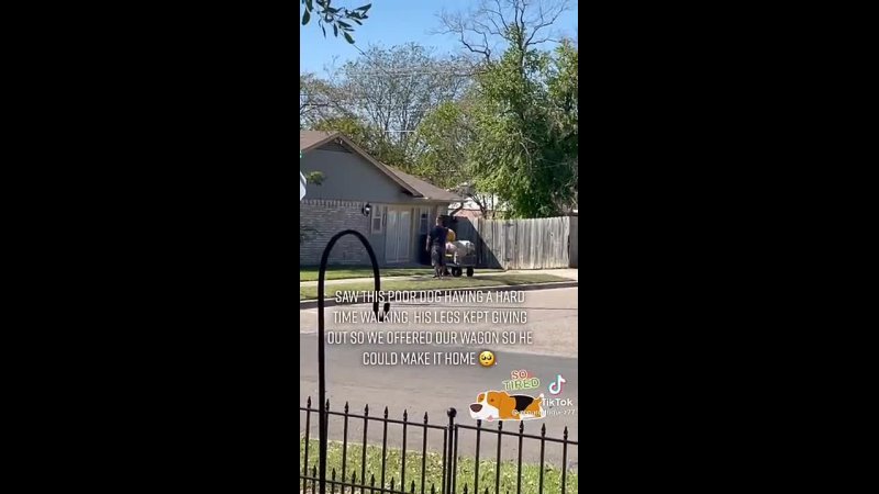 Bro sees older dog done with his walk, lends owner a wagon to help get the dog home