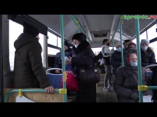 Как зеленодольцы реагируют на проверку QR-кодов в городских автобусах