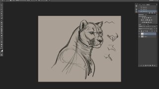 11 Drawing Cougar Heads