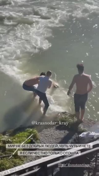 Неравнодушные мужчины в Сочи спасли лабрадора из бурлящей реки.

Самого спасения пёселя на видео не видно,... Сочи