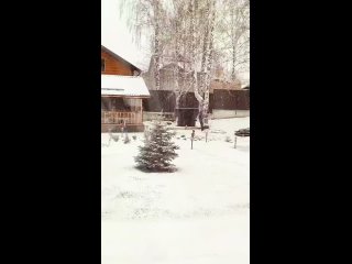 СНЕЖНОЕ УТРО ❄☃️