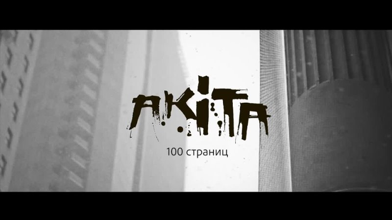 Akita / 100 страниц