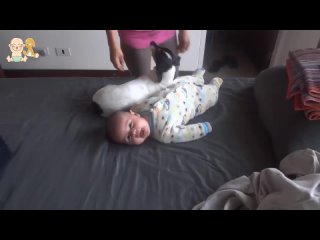 Loyal Dogs Take Care And Protecting Babies Compilation  - Dog And Baby Best Friend Videos