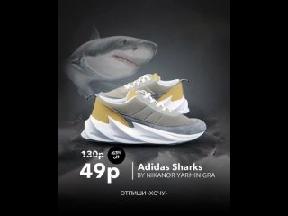 adidas Sharks