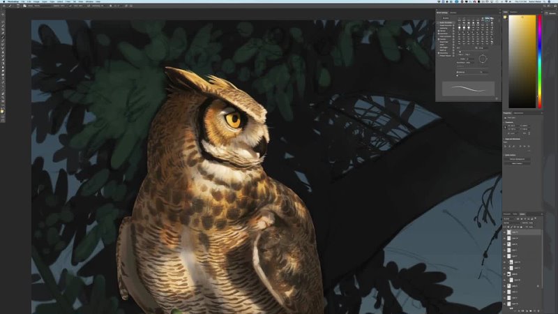 44. Great Horned Owl Body