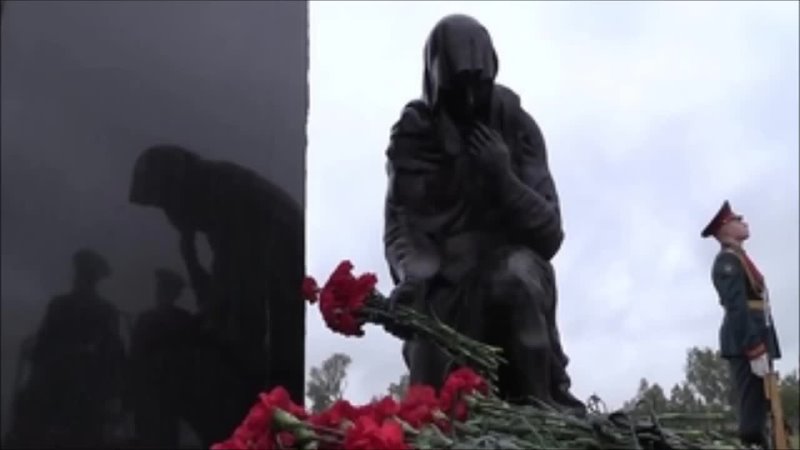 Вдова солдата. День погибшего солдата в Чеченской Республике. Выставка Чечня день памяти. Уголок памяти погибшего солдата. Афганцы на Богородском кладбище.