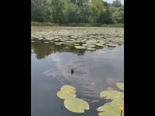 За такие моменты мы и любим рыбалку...