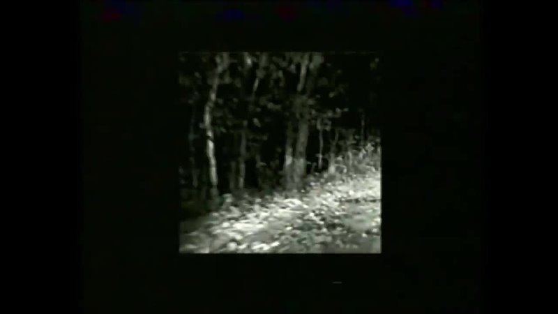 Видео от Horror Movie Theater