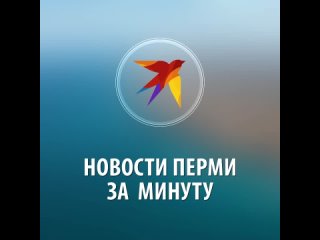 Новости Перми за одну минуту от 11 ноября