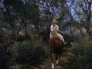 Огонь и стрела (1950)мелодрама, история, приключения, драма СтранаСША