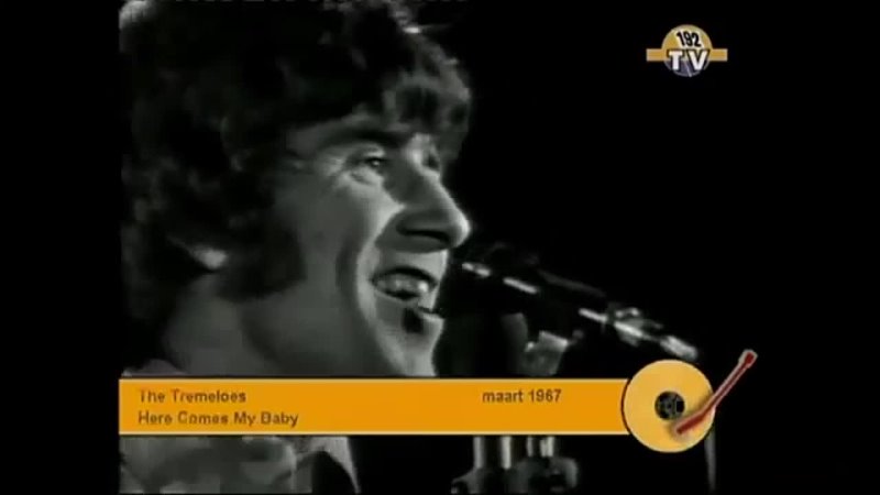 Tremeloes Here Comes My Baby. HD