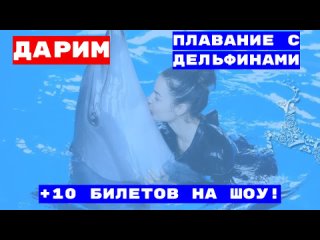 💣 Дарим 10 билетов в 🐬 Нижегородский дельфинарий + плаван...
