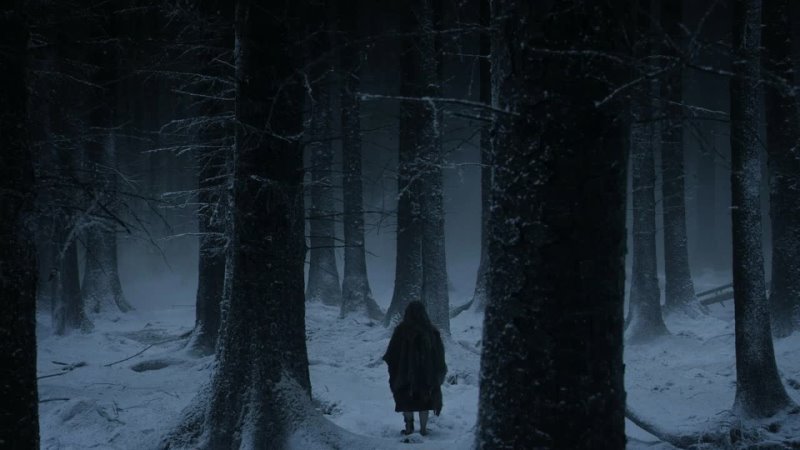 [FREE] |Light Trap Horror Beat| "Black Forest"