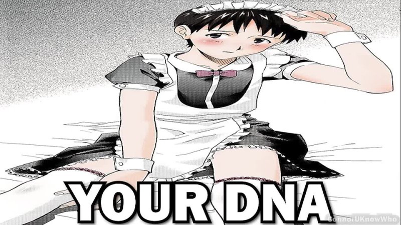 Rei Ayanami Has Gangster DNA