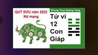 Видео от Qung-Tòng Phong-Thu