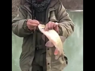 Зимняя рыбалка на летнюю удочку