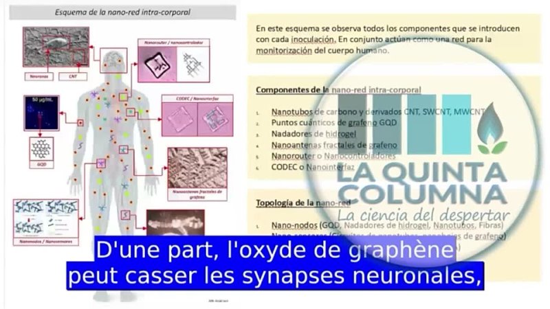 Les vaccins , leur contenu et leur objectif final (