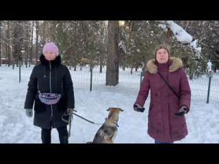 ленинский парк 2.0.mp4