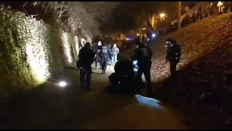 Spaziergänger wird von Polizei blutig