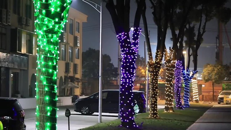 wendadeco Remote Control Outdoor String Decoration Light IP65 Fairy