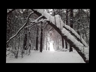 Олег Майгов. Белые одежды ДЕКАБРЯ