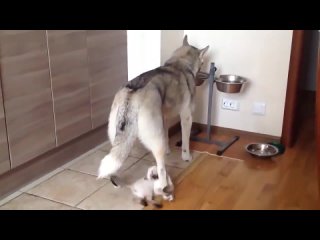 Самый спокойный!