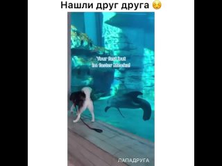 Мой мимиметр зашкаливает