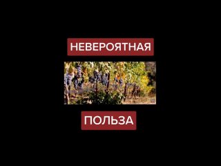 Невероятная польза