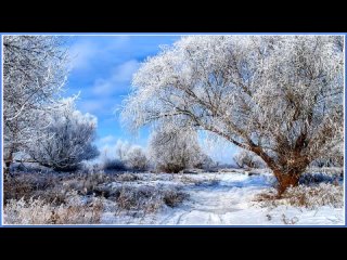 Просто зимняя  мелодия  ( 720 X 1280 ).mp4